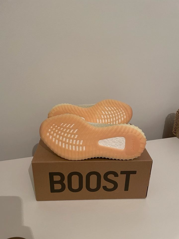 *NEU* Yeezy Boost 350 V2 BUTTER (7,5 / 40 2/3) in Berlin