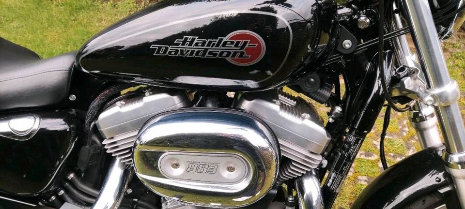 Harley Davidson Sportster 883 Superlow in Bimöhlen