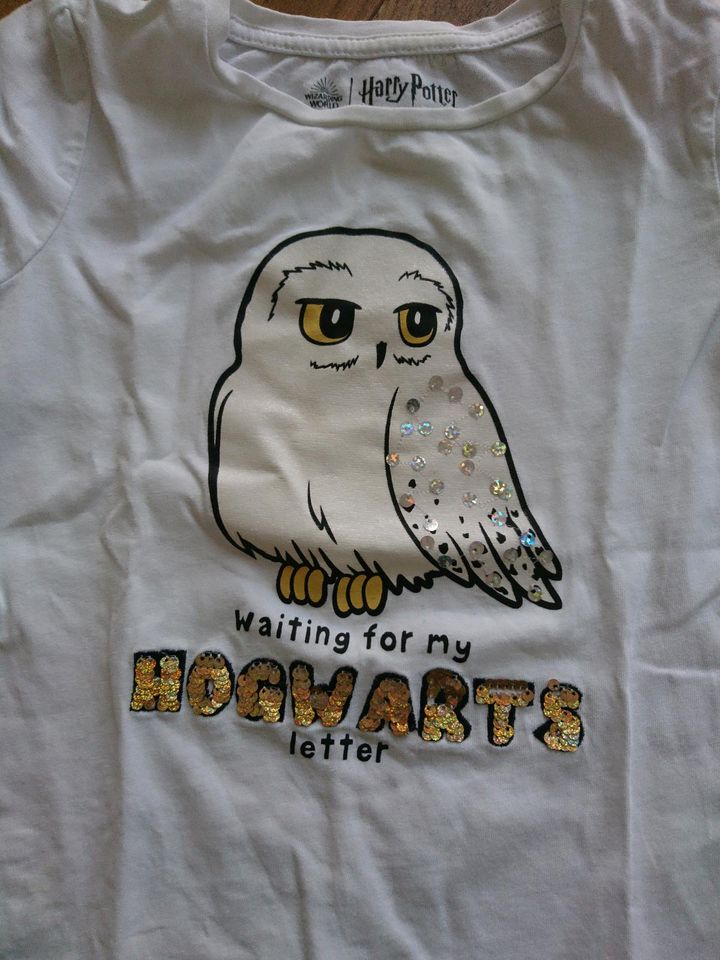 4 Shirts, eins Thema Harry Potter in Sprakel