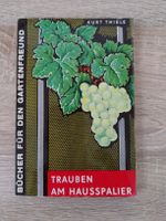 Trauben am Hausspalier Kurt Thiele Weinanbau Gartenbuch Sachsen - Coswig Vorschau