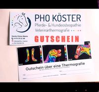 Gutschein Thermografie Pferd und Hund Münster (Westfalen) - Nienberge Vorschau