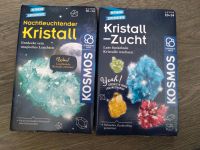 NEU! KOSMOS Nachtleuchtender Kristall/ Kristall- Zucht Thüringen - Altenburg Vorschau