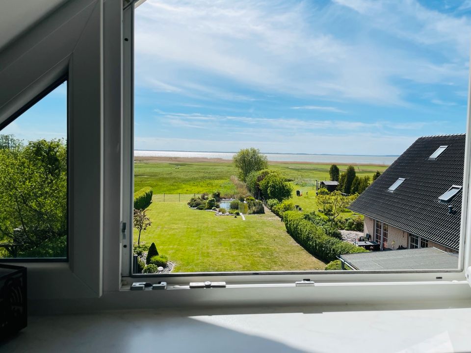 Panorama Seeblick Insel Usedom ab sofort verfügbar in Ückeritz