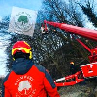 Baumpflege & Baumfällung, Gartenpflege Niedersachsen - Luhden Vorschau