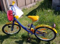 Fahrrad Kinder TEDDY 20 Zoll blau / gelb Neuhausen/Spree - Klein Döbbern Vorschau