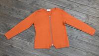 APART Pullover Strickjacke Gr 36 Schurwolle Ziegel orange  Wolle Bayern - Grafing bei München Vorschau