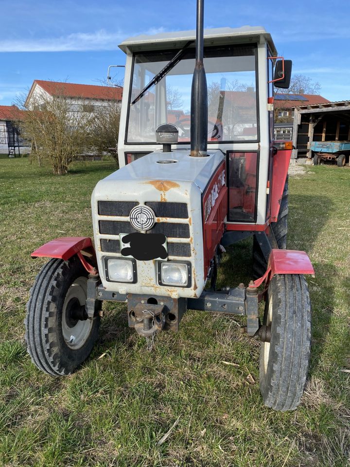 Steyr 8060 Traktor, BJ 83, 48 PS, 1. Hand, Top Zustand, in Kirchdorf a.d.Amper