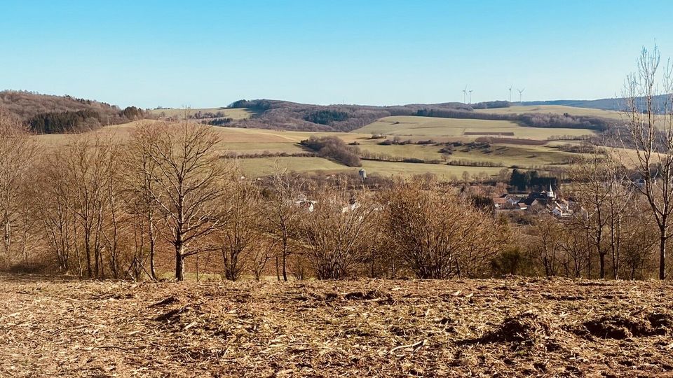 Freizeit Grundstück in Schiffweiler