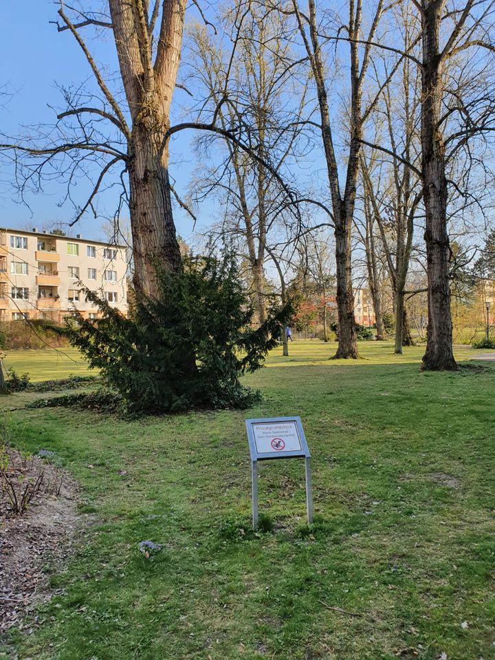 Gepflegte 2-Zimmer-Wohnung mit Balkon in Berlin Tegel (Reinickend in Berlin