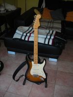 Fender Stratocaster Eric Johnson 2 TS Niedersachsen - Rodenberg Vorschau