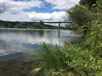 Suche Freizeitgrundstück an Fluss / See / Wald - 500€ Finderlohn! Bayern - Regensburg Vorschau