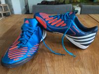 Adidas Gr. 42 Fußballschuhe Hallenfußball Sportschuhe Sachsen - Riesa Vorschau