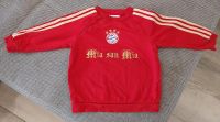 FC Bayern Pullover, Gr.80 Bayern - Bürgstadt Vorschau