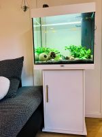 Juwel Aquarium Komplett-Set 120L - inkl Wasser, Bewohner etc. Wandsbek - Hamburg Bramfeld Vorschau