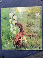 Knorr Heft Zarte Blüten aus Strumpfgewebe Baden-Württemberg - Schorndorf Vorschau