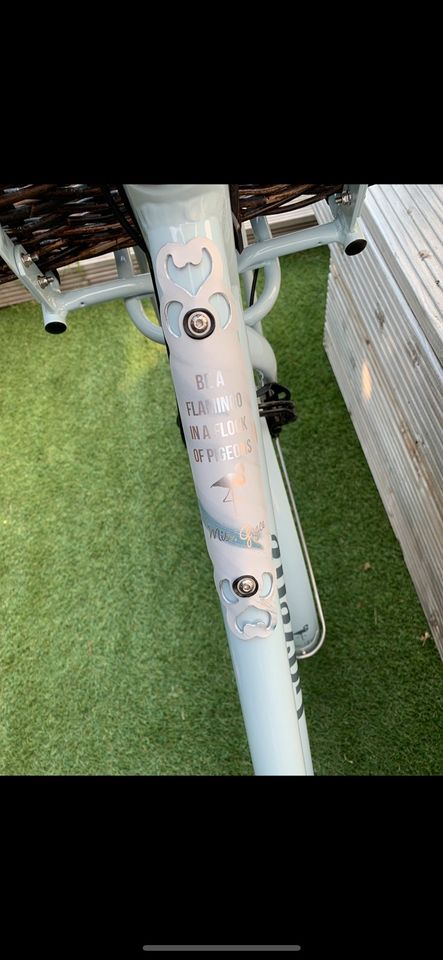 E-Bike Gazelle HMD  Pedelec Limitierte Auflage in Heinsberg