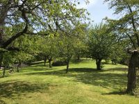 Weideflächen / Streuobstwiesen in Lodersleben (nur Schafe!) Sachsen-Anhalt - Querfurt Vorschau