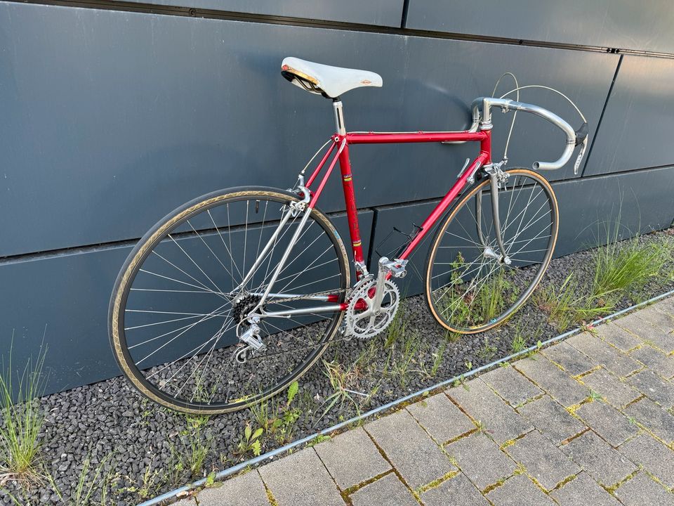 VICINI RENNRAD CAMPAGNOLO VINTAGE in Ludwigshafen