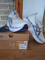 Asics Laufschuhe Rheinland-Pfalz - Neunkhausen Vorschau