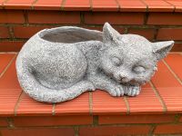 Garten Steinoptik Katze Skulptur tierischer Pflanzenkübel Blument Niedersachsen - Buchholz in der Nordheide Vorschau