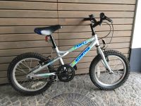 16 Zoll Kinderfahrrad - Dawes Blowfish Schleswig-Holstein - Itzehoe Vorschau