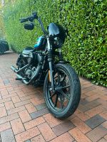 Harley Davidson Iron 1200 Sportster Niedersachsen - Emstek Vorschau