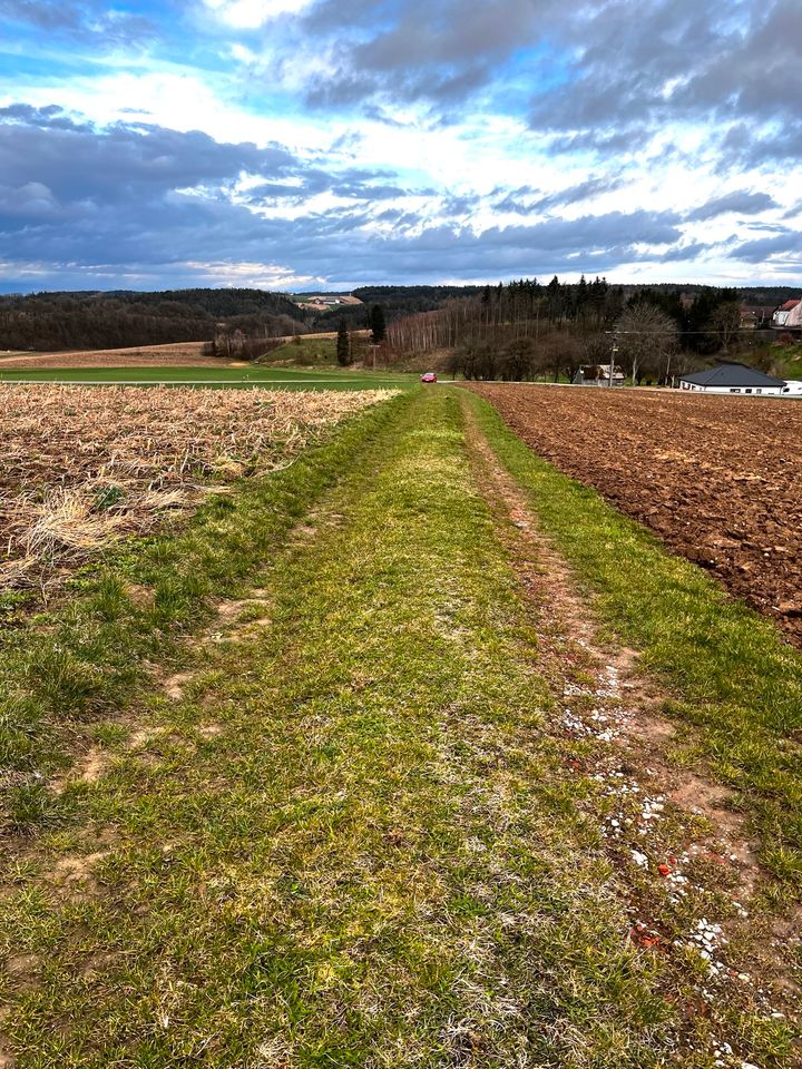 Ackerfläche, Wiese, Wald, Grundstück nähe Mamming in Dingolfing