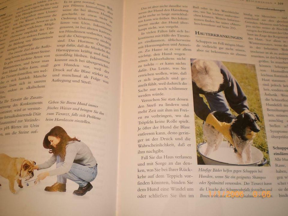 Das grosse Buch der Hundehaltung in Heppenheim (Bergstraße)