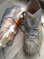 Fußballschuhe Nemeziz Gr. 38,5 Schwerin - Lankow Vorschau