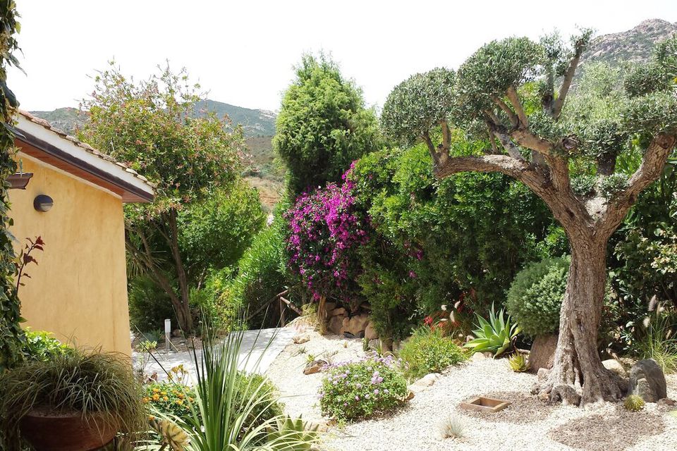 SARDINIEN - Ferienhaus mit eigenem Pool Nähe CHIA - PULA in Schmallenberg