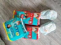 Pampers Pants & Baby-dry Größe 5 Berlin - Zehlendorf Vorschau