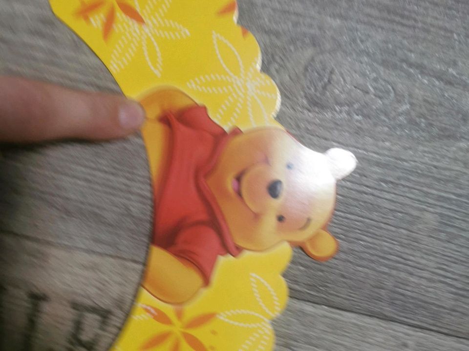 Winnie pooh Geburtstag Set Party in Lohsa