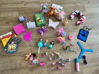 Spielzeug Paket mit fliegender Fee, My little Pony, Boomerang Schleswig-Holstein - Ammersbek Vorschau