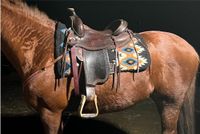 Deuber Westernsattel Pony Spezial Roundskirt Niedersachsen - Celle Vorschau