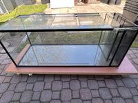 Aquarium 325 ltr. Münster (Westfalen) - Centrum Vorschau