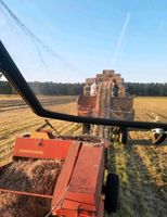 Heuballen, Heu, HD Quaderballen Heu Ludwigslust - Landkreis - Dömitz Vorschau