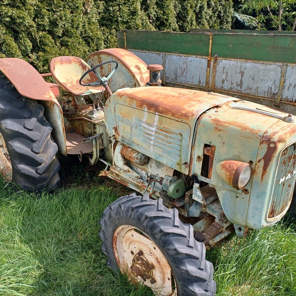 MAN 4r3 45PS Traktor Schlepper Ackerdiesel Allrad in Cölbe