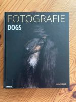 Fotografie Dogs von Regine Heuser Bildband Sachsen-Anhalt - Lüttgenrode Vorschau