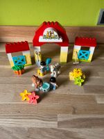 Lego Duplo Reiterhof Set Nummer 109951 vollständig Nordrhein-Westfalen - Bottrop Vorschau