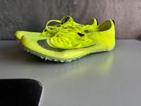 Nike Sprintspikes Größe 41 Hessen - Bensheim Vorschau