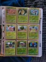 Pokemon Karten Sammlung Aufziehen der Sturmröte komplett Nordrhein-Westfalen - Isselburg Vorschau