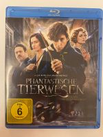 Blu ray Phantastische Tierwesen und wo sie zu finden sind Rheinland-Pfalz - Montabaur Vorschau