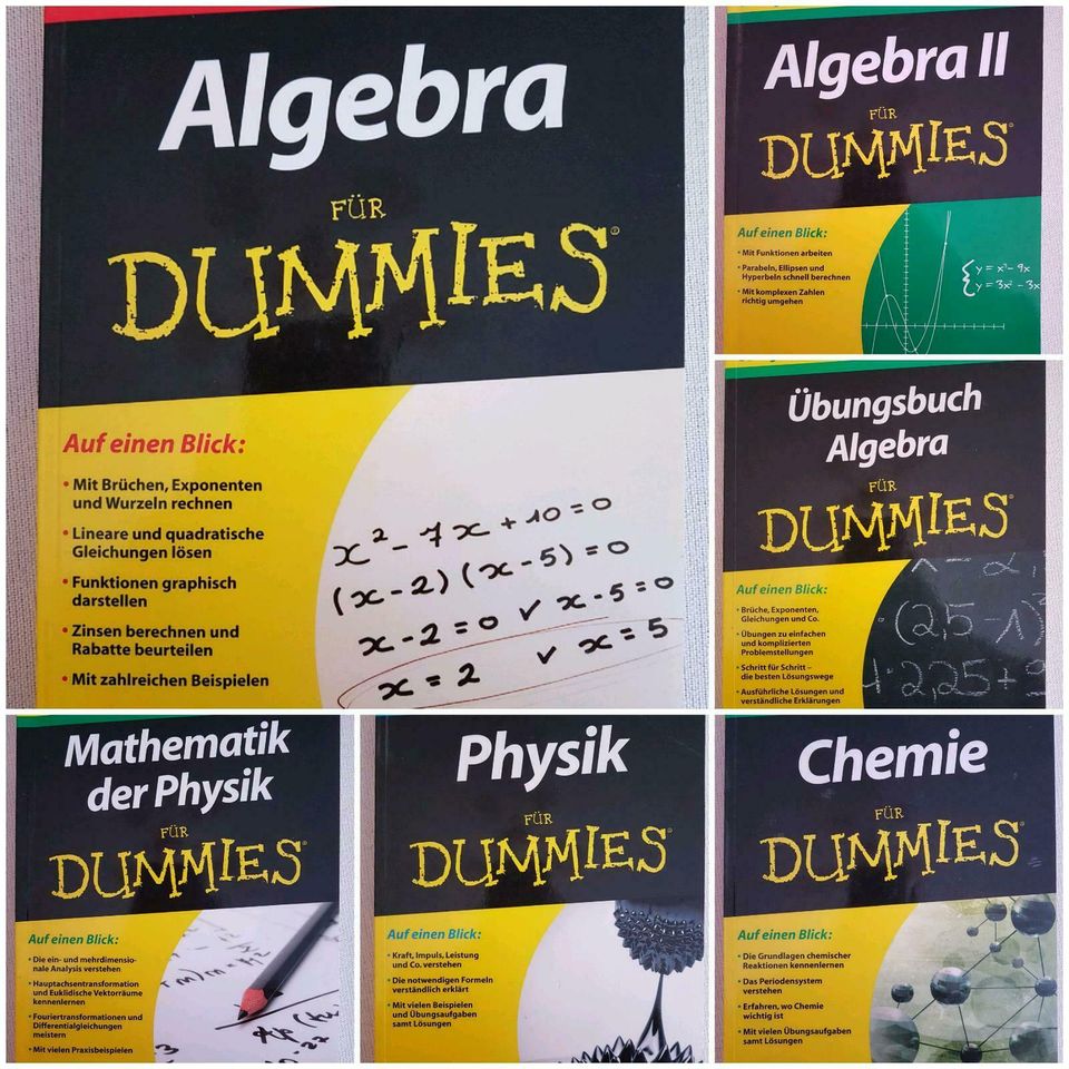 Schulbücher/Algebra Mathematik Physik für Dummes in Schwäbisch Hall