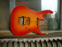 Ibanez JPM100 RG Typ Body Carved Top Gitarren Korpus Handmade Baden-Württemberg - Karlsruhe Vorschau