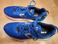 Laufschuhe diadora equipe atomo, Gr. 47,5 Baden-Württemberg - Leutkirch im Allgäu Vorschau