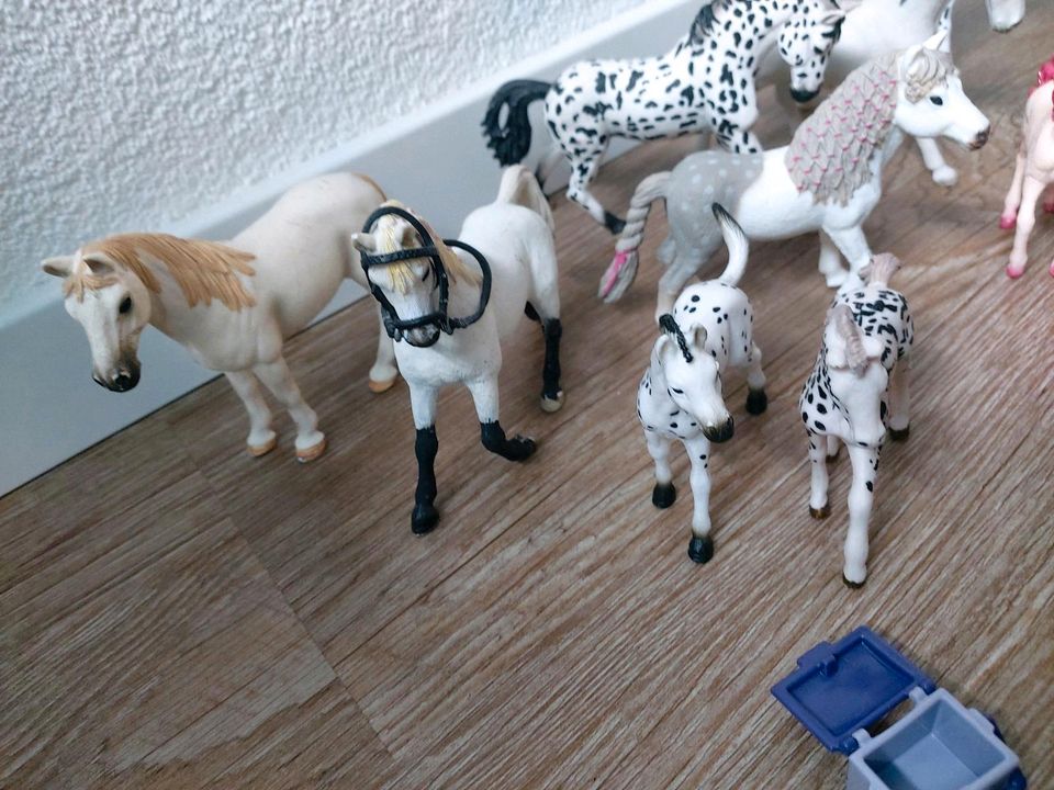 Schleich Pferde Fohlen Sammlung Konvolut Zubehör Einhorn Nr. 2 in Hamm