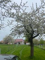 Fachwerkhaus mit großem Grundstück in Trendelburg Hessen - Trendelburg Vorschau