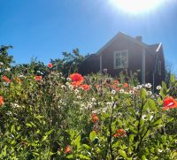 Ferienhaus in Schweden (Borghamn am Vättern) 8 Personen Berlin - Mitte Vorschau