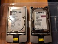 Compaq Proliant 18,2GB Wide Ultra 3 SCSI Festplatten Schleswig-Holstein - Medelby Vorschau