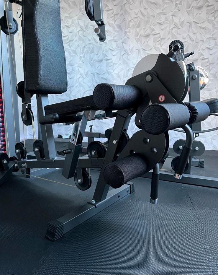 Hochwertige Kraftstation Finnlo Autark 2600 Kabelzug Homegym in Bad Bergzabern